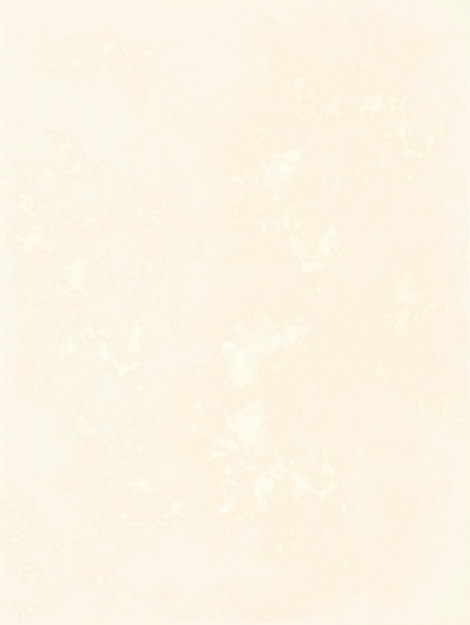 TANI BEIGE SCIANA 25X33,3