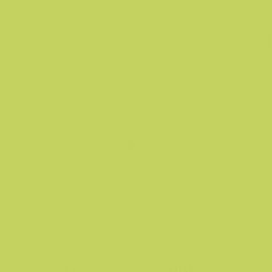 GAMMA SELEDYNOWA SCIANA POLYSK 19,8X19,8