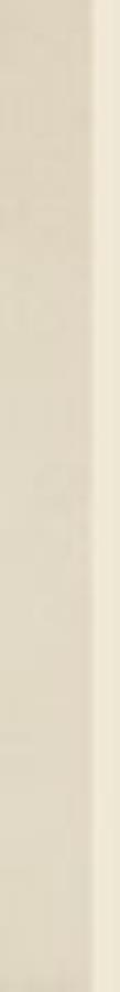 NATURSTONE BEIGE COKOL POLER 7,2X59,8