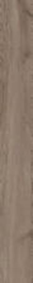 WILDLAND NATURALE (TWILIGHT) GRES SZKL. REKT. 14,8X119,8
