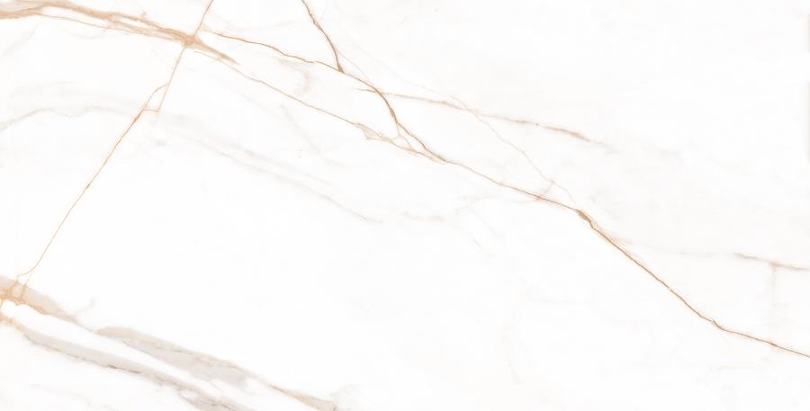 MARMO GOLD POLISHED 60X120