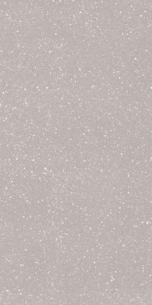 P MOONDUST ( MACROSIDE ) SILVER GRES SZKL. REKT. MAT. 59,8X119,8 G.1