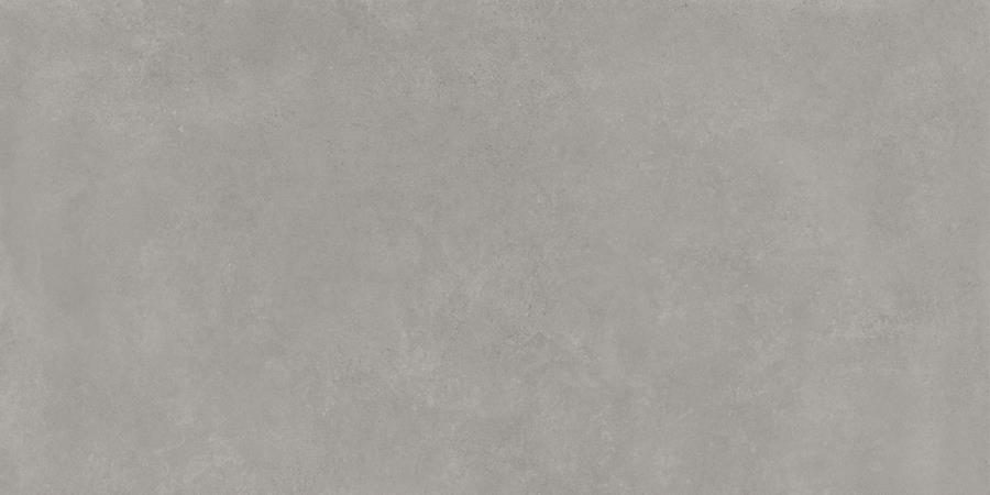 ARGENTA TANUM CENIZA RC 60X120