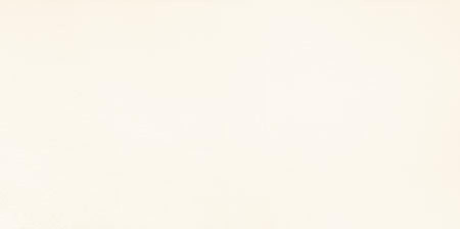 GRAFITE WHITE 44,8X22,3