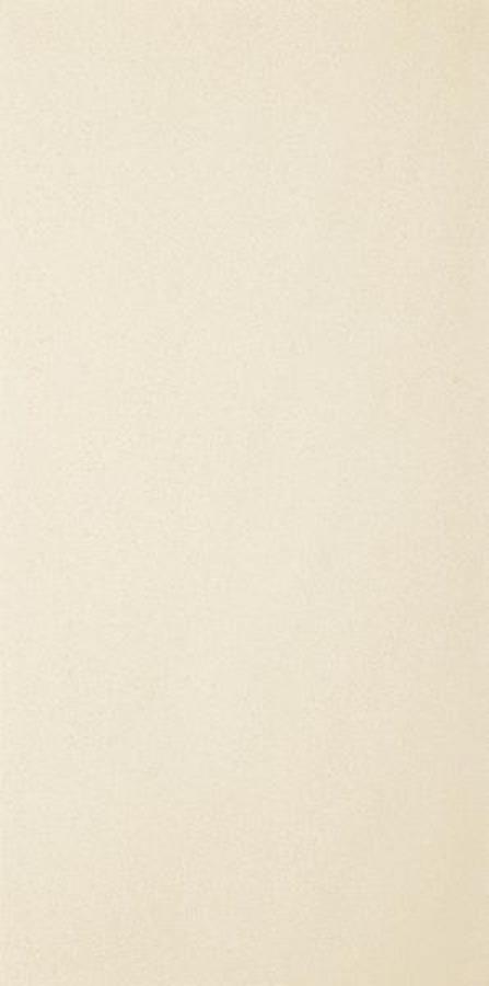 ARKESIA BIANCO GRES REKT. MAT. 29,8X59,8