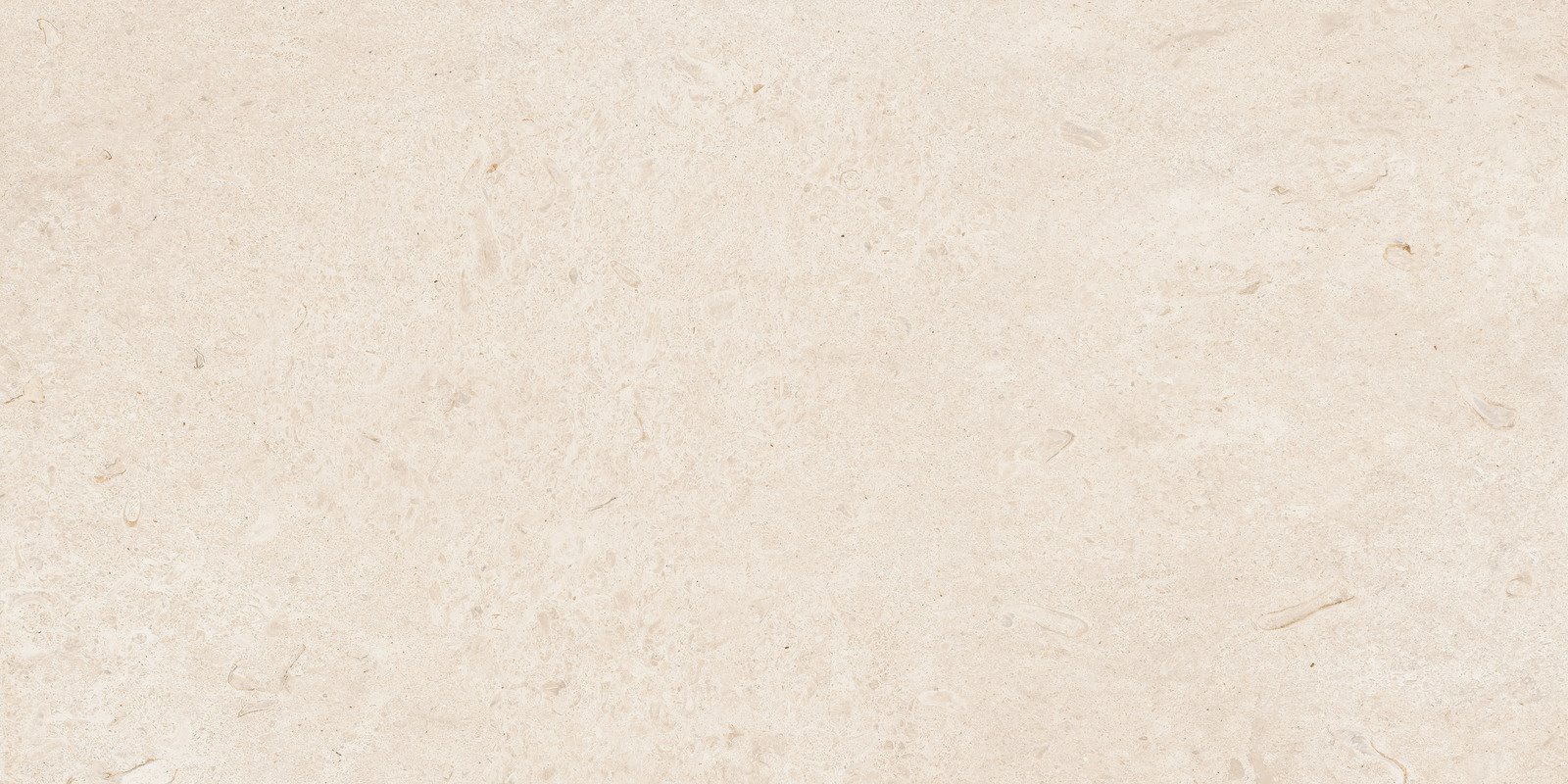 CARACTER BLANCO RETT. 60X120