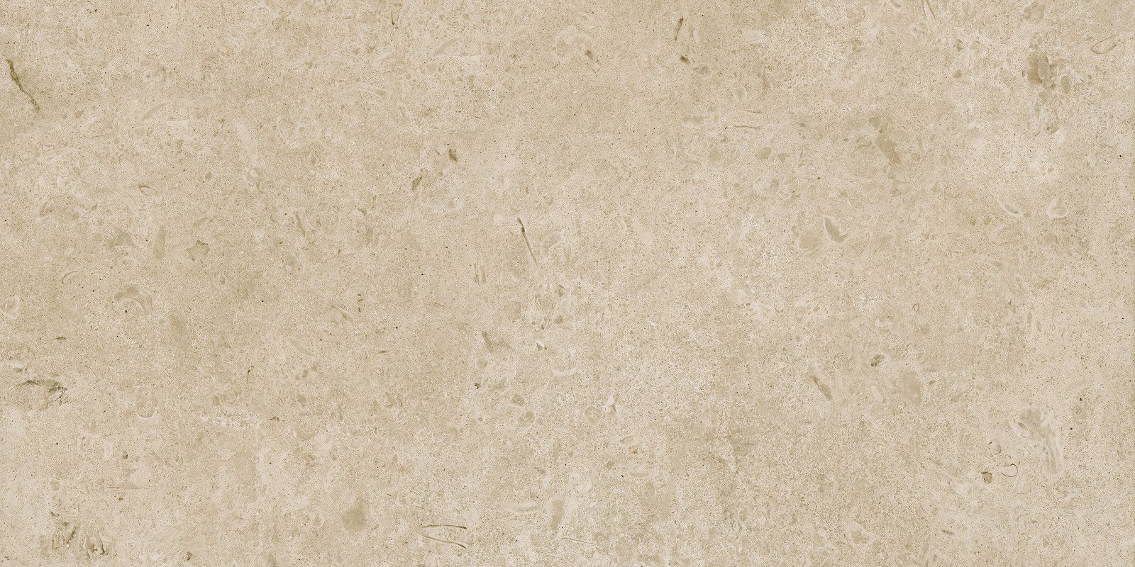CARACTER GREIGE RETT. 60X120