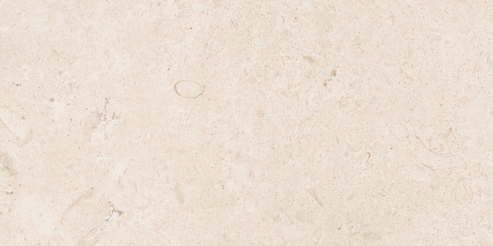 CARACTER BLANCO RETT. 30X60