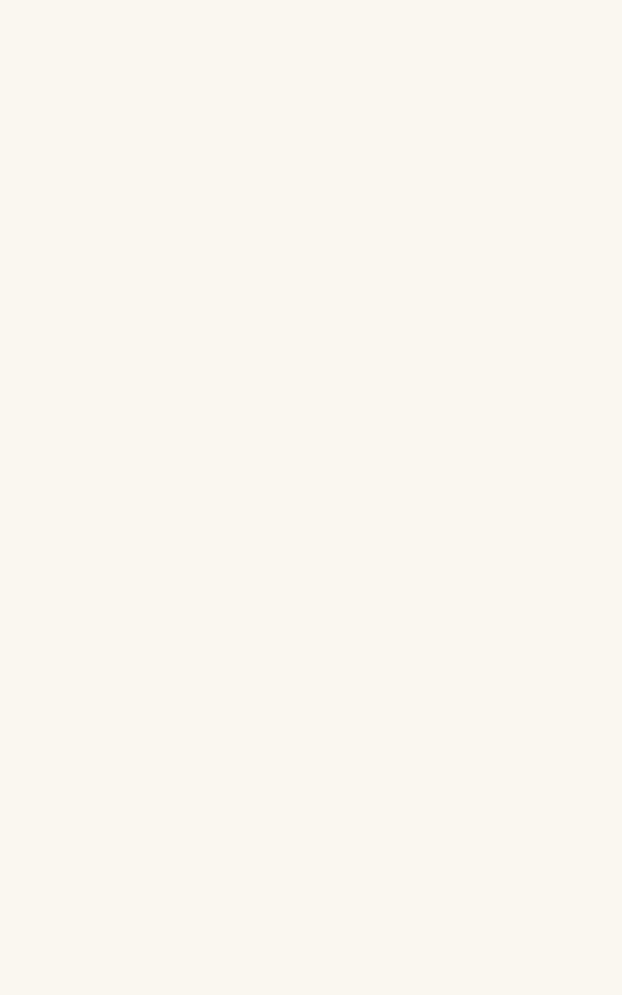 MELBY BIANCO SCIANA 25X40