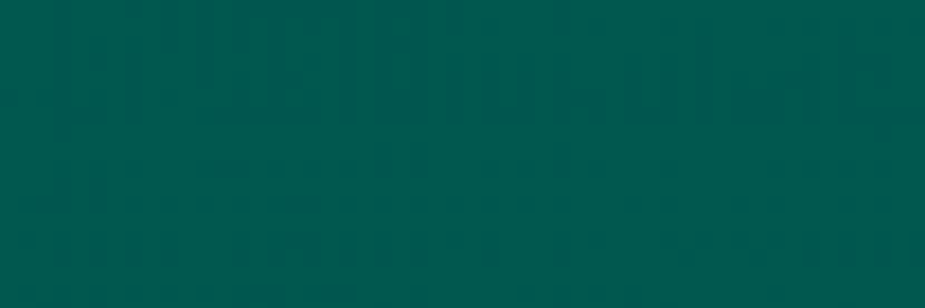 EMERALD FOREST RETT. 25x75