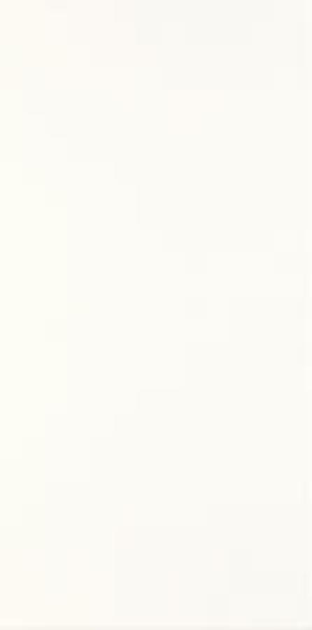 FIORI BIANCO SCIANA 30X60