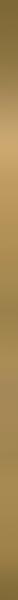 UNIWERSALNA LISTWA METALOWA ORO PROFIL 2X60