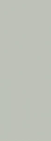 NEVE GRYS SCIANA POLYSK 25X40