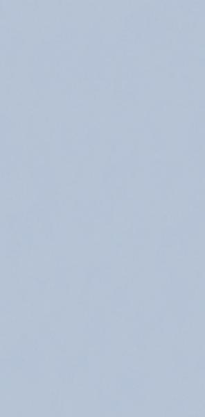 NEVE CREATIVE BLUE SCIANA POLYSK 9,8X19,8