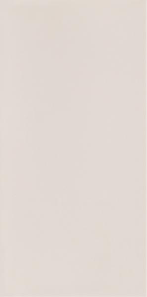NEVE CREATIVE LIGHT GRYS SCIANA POLYSK 9,8X19,8