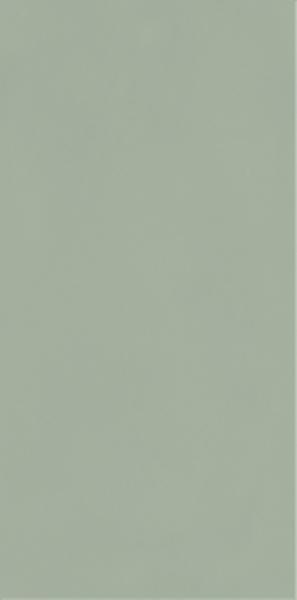 NEVE CREATIVE GREEN SCIANA POLYSK 9,8X19,8