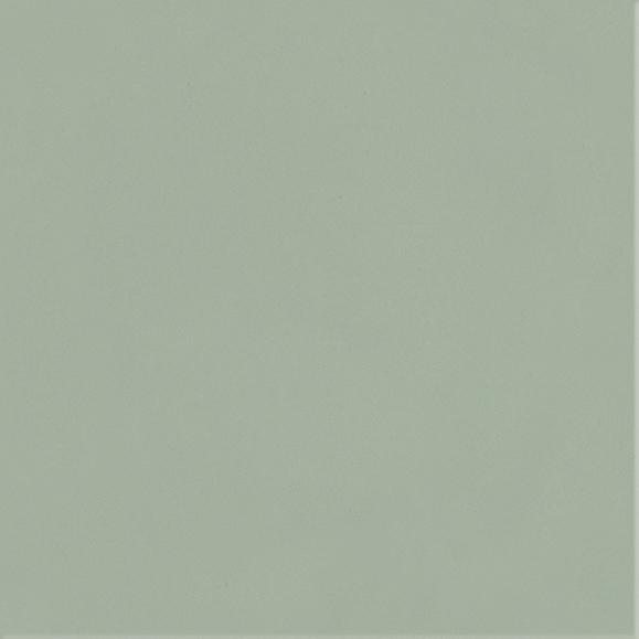 NEVE CREATIVE GREEN SCIANA POLYSK 9,8X9,8