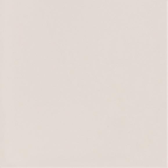 NEVE CREATIVE LIGHT GRYS SCIANA POLYSK 9,8X9,8