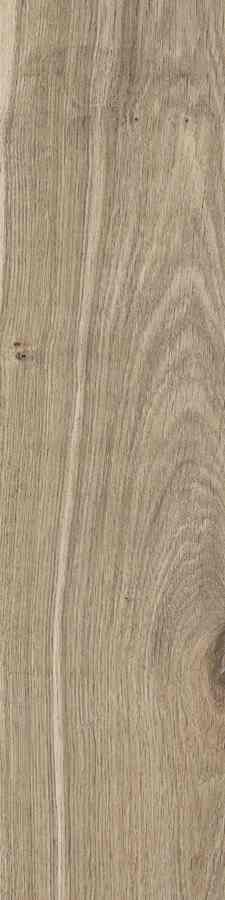 DUBLIN ALMOND 15,5X62 preview