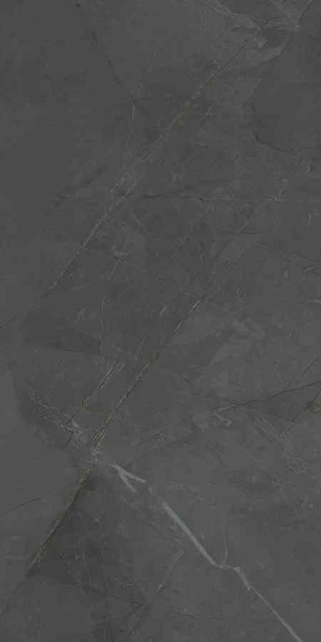PURE ANTRACITE 30X60 preview
