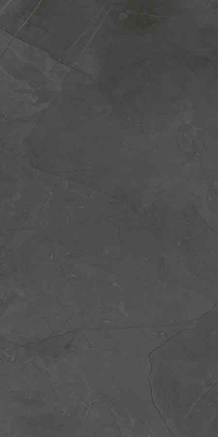 PURE ANTRACITE 30X60 preview