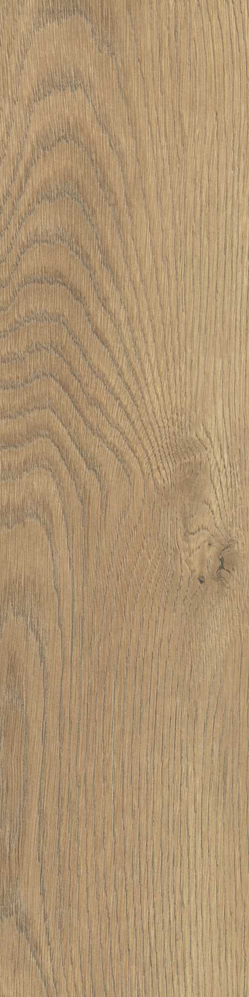 TAIGA HONEY GRES SZKL. 15,5X62 preview
