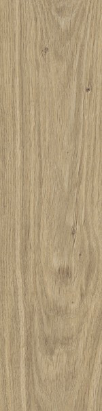 DUBLIN BEIGE GRES MAT. 15,5X62