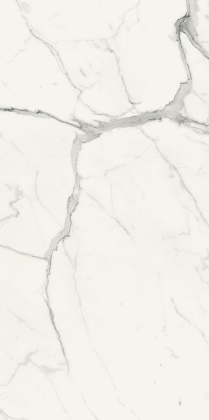 PIETRASANTA POL 119,8X274,8