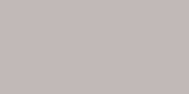 CIELO E TERRA BEIGE MAT 119,8X274,8