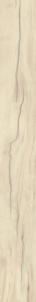 CRAFTLAND LIGHT GRES SZKL. REKT. 19,8X119,8 preview