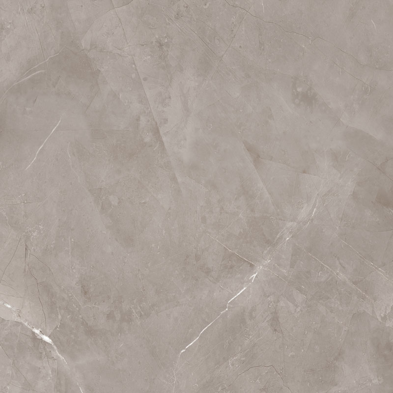 HARMONIC GREY POL 59,8X59,8 preview