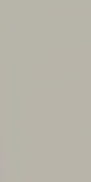 NEVE GRYS SCIANA REKT. POLYSK 29,8X59,8