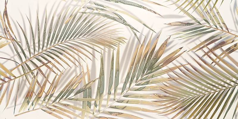 MISTERIA PALM 59,8X119,8