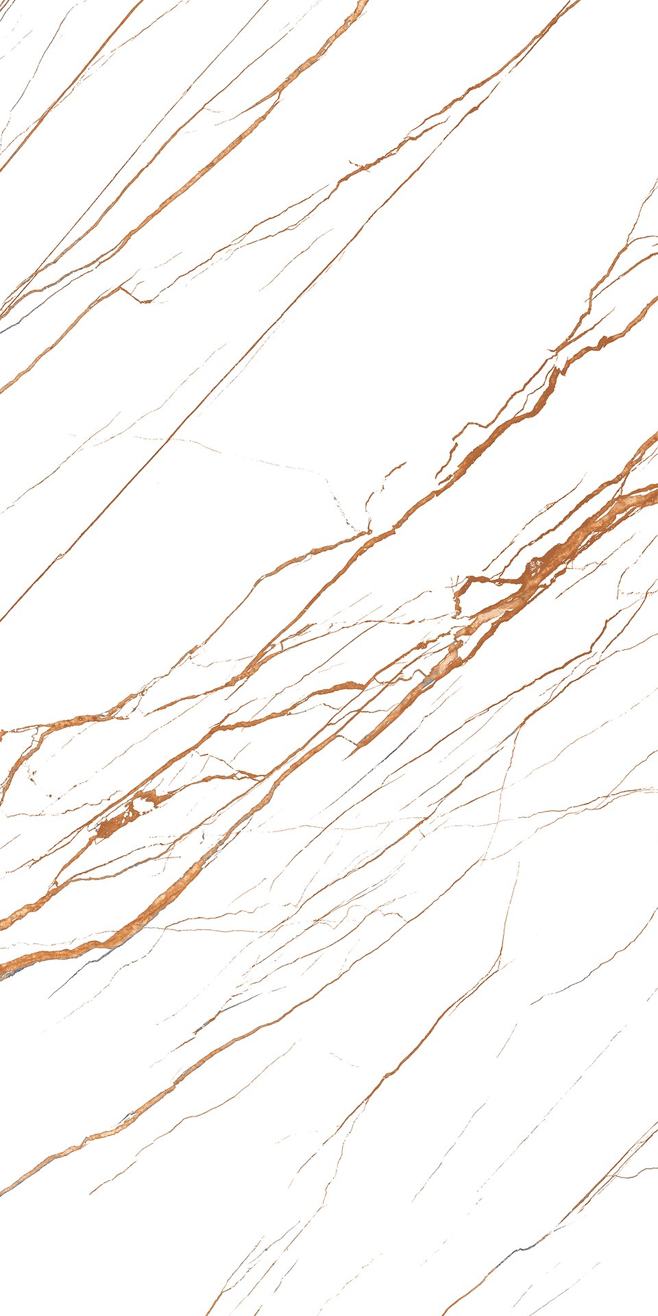 NOLITA WHITE SUGAR 60X120
