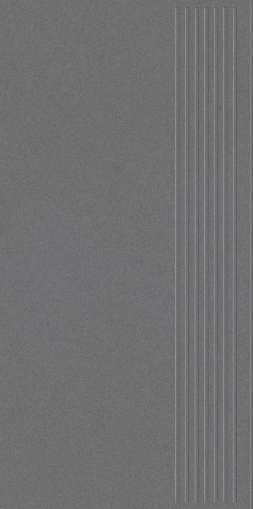 ARCHICROSS BASE GREY STOPNICA PRASOWANA MAT. 29,8X59,8 preview