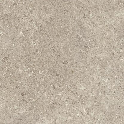 GRIS FLEURY 20 BEIGE RT 60x60