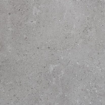 GRIS FLEURY 20 GRIGIO RT 60x60