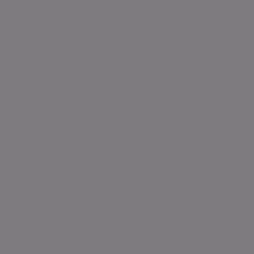 GAMMA COLOURS STALOWA SCIANA POLYSK 19,8X19,8