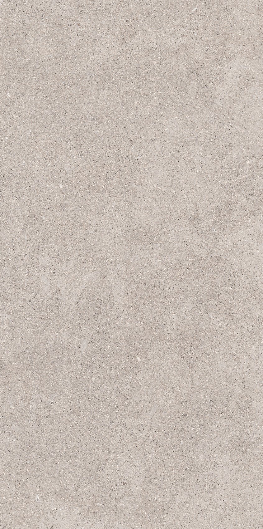 CITYROCK GREY GRES SZKL. REKT. MAT. 29,8X59,8 preview