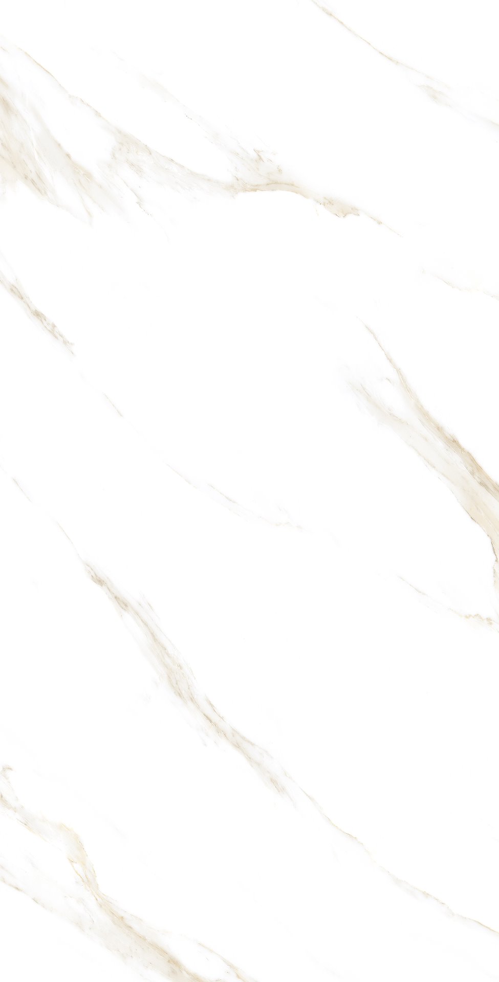 MARART BEIGE POLISHED 60X120