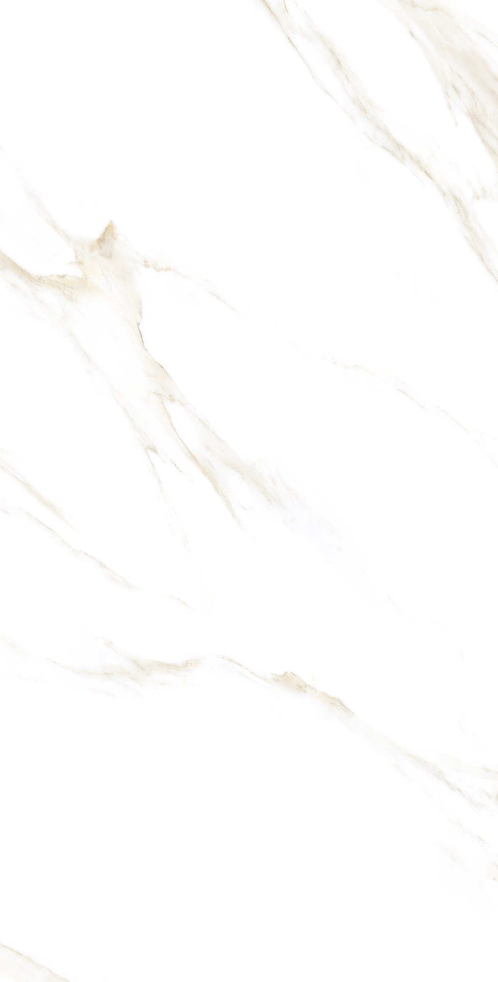 MARART BEIGE POLISHED 60X120 preview