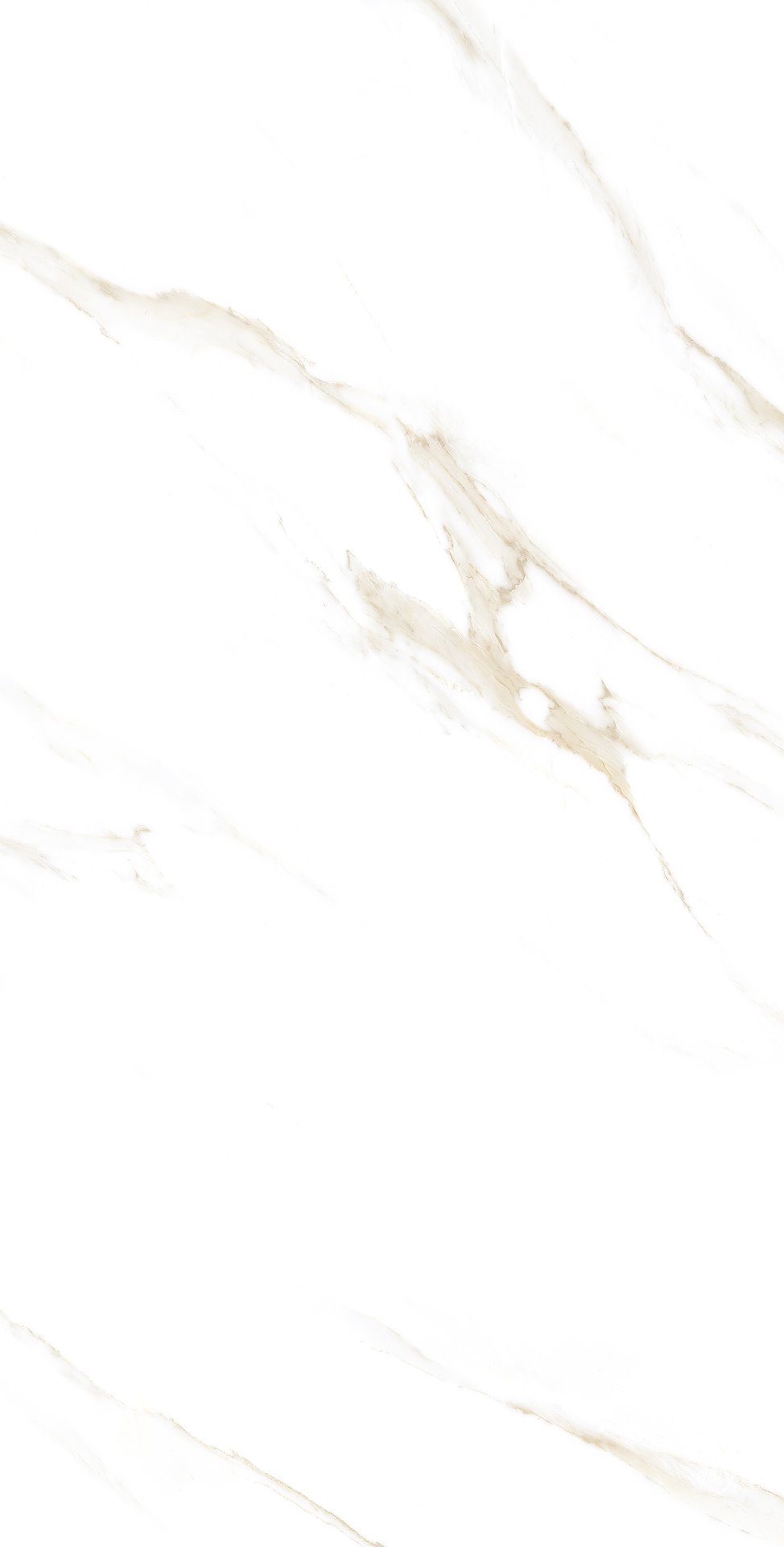 MARART BEIGE POLISHED 60X120 preview