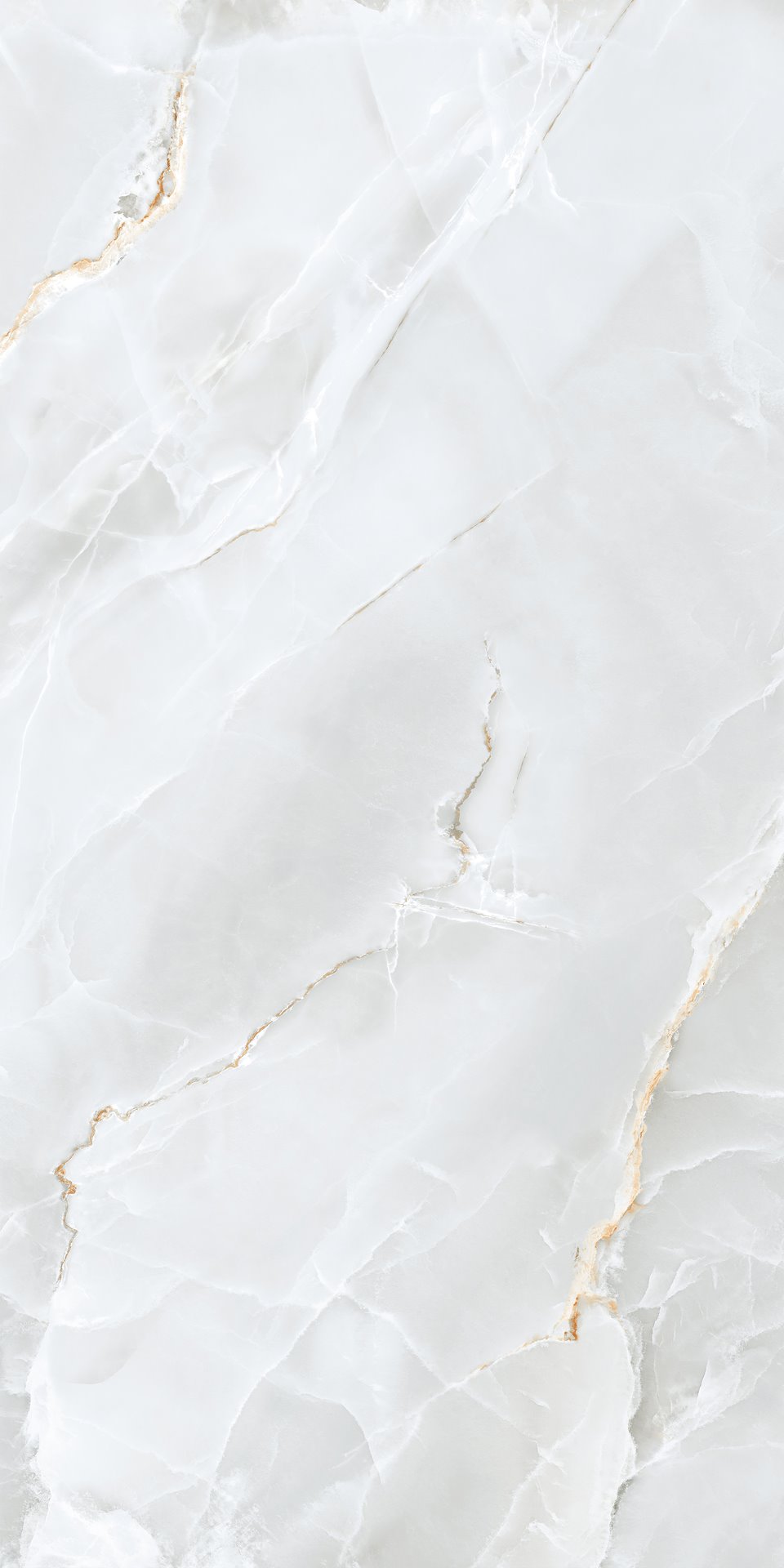 DELICATE LIGHT GREY MATT 60X120 preview