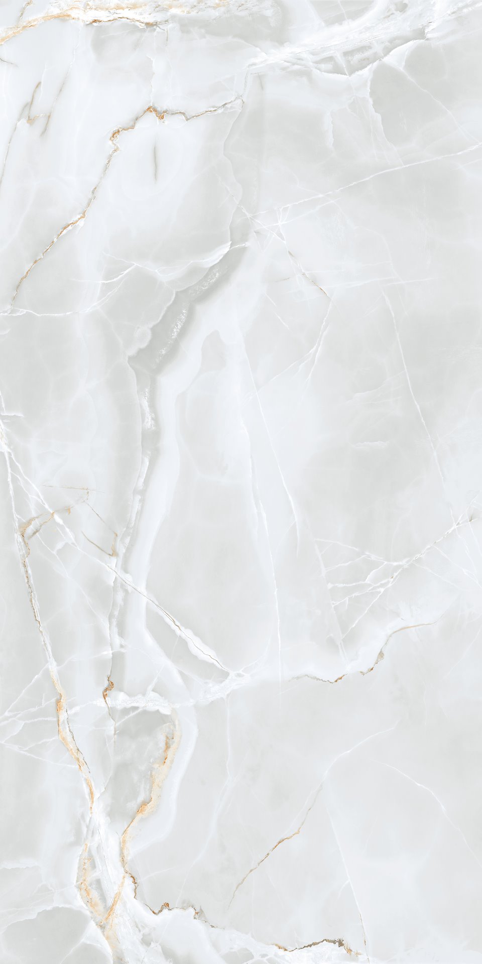 DELICATE LIGHT GREY MATT 60X120 preview