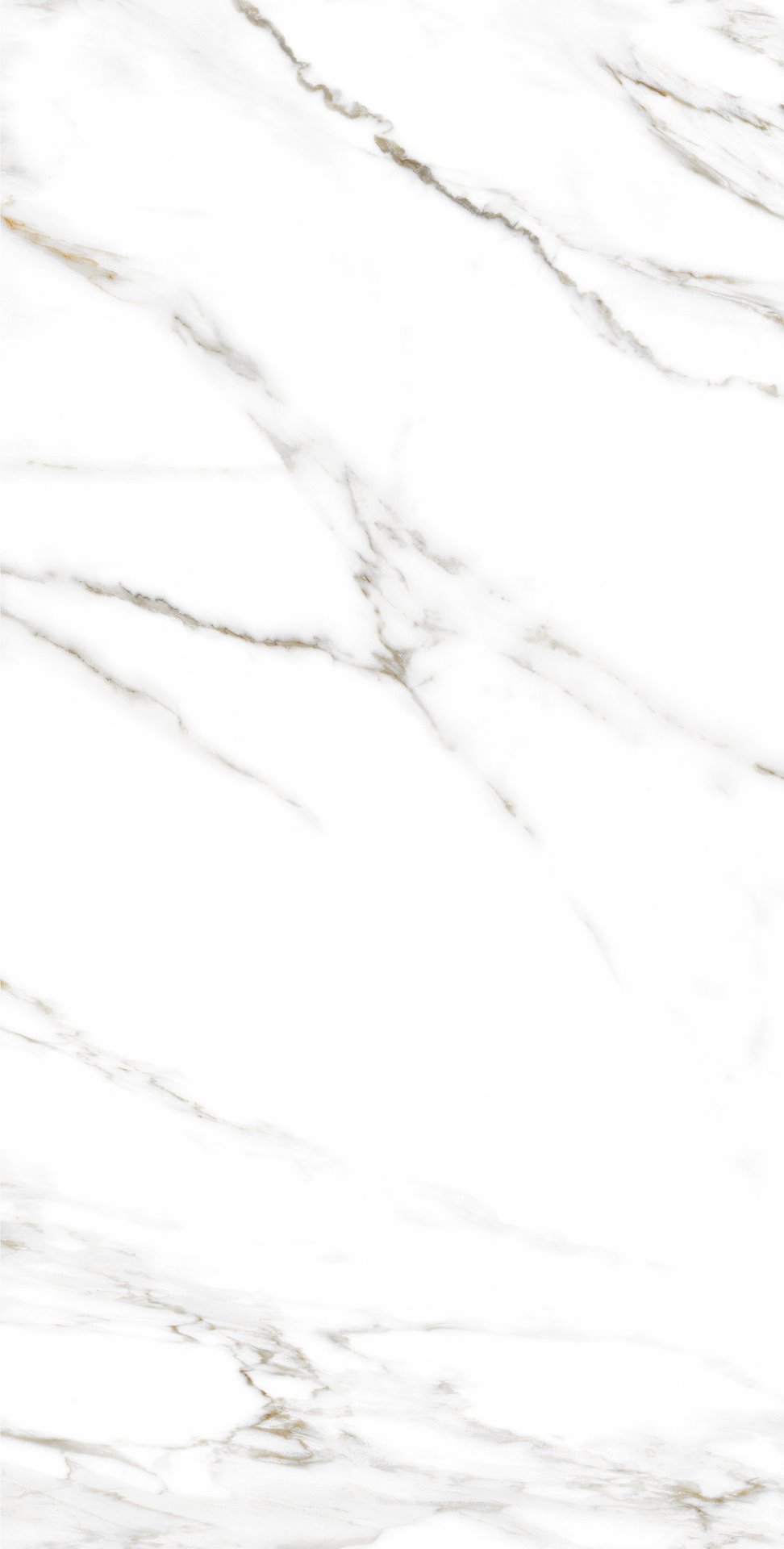 EPICENTR PALADIO WHITE SAT 60X120