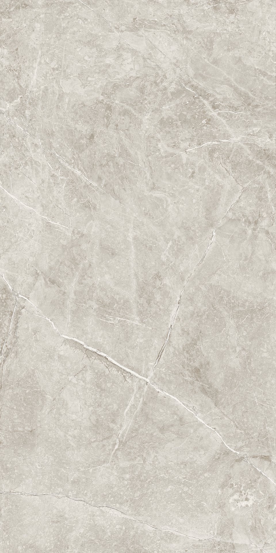 THE STONE BEIGE MATT 60X120 preview