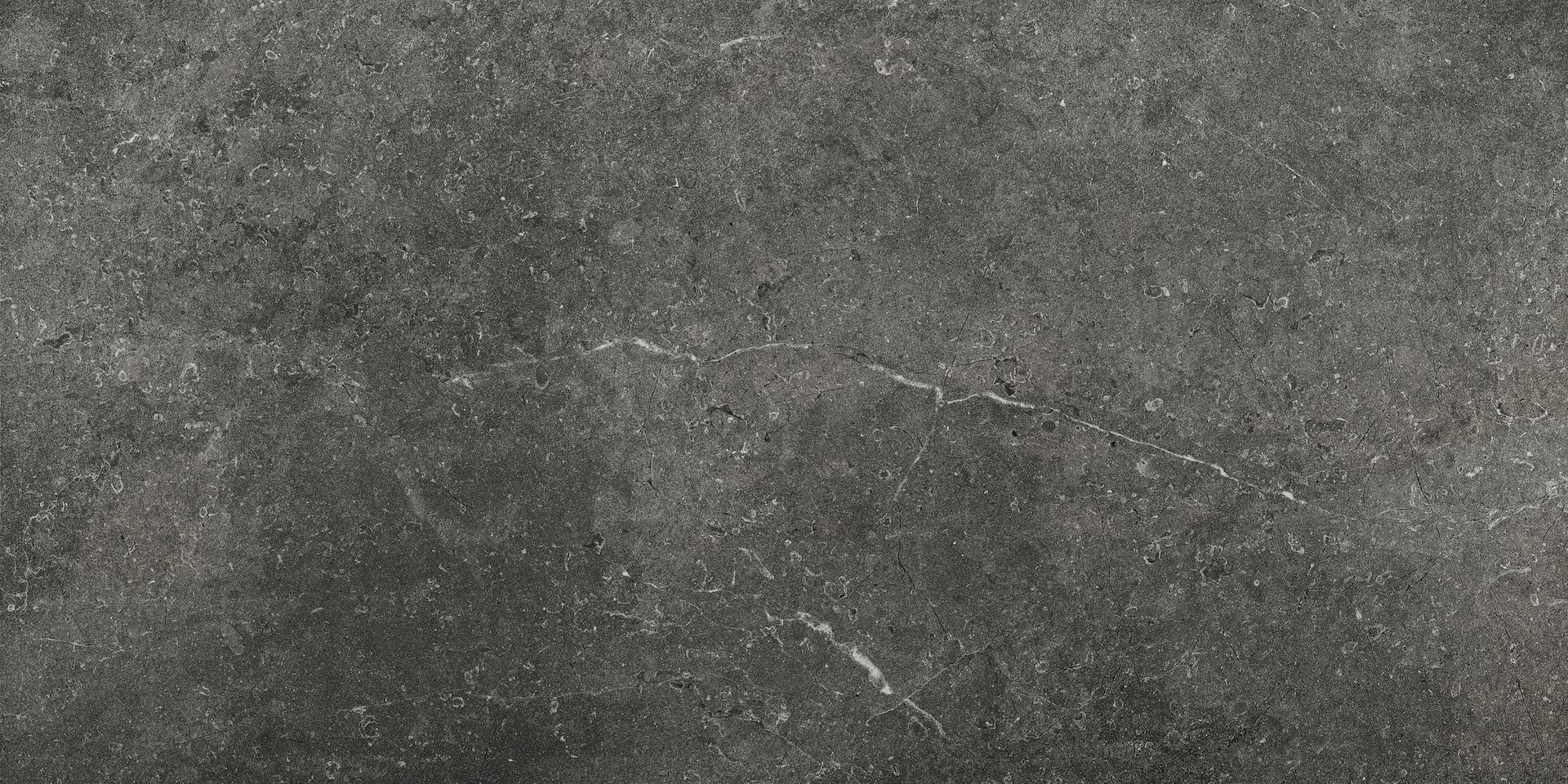LIMESTONE ANTRACITA 60X120